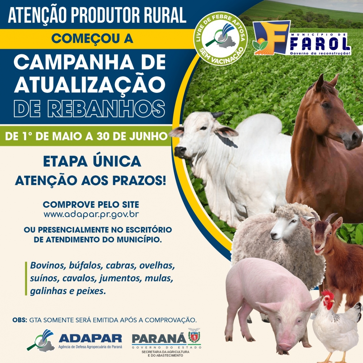 Campanha de Atualização de Rebanhos é iniciada