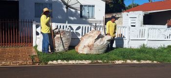 Mobilização contra a Dengue envolveu  moradores da cidade e distrito em Farol 