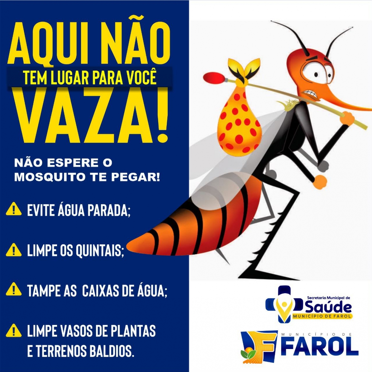 Prevenção da Dengue: Responsabilidade de Todos! 