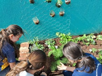 Educação Financeira: Projetos de horta orgânica e produção de peixes são sucessos 